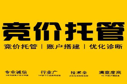 成功案例解读：SEM推广代运营策略